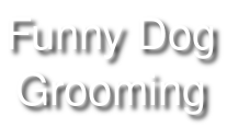 Funny Dog Grooming